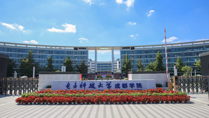 成都三极管放大倍数检测：揭秘精准度背后的关键**
