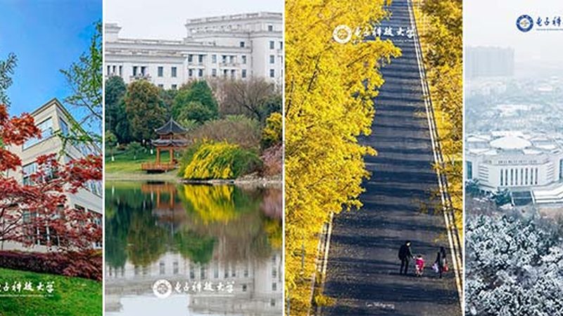 成都电子科技公司：技术实力与产品对比解析